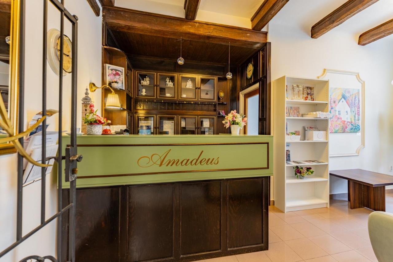 Hotel Amadeus تشيسكي بوديوفيتسه المظهر الخارجي الصورة
